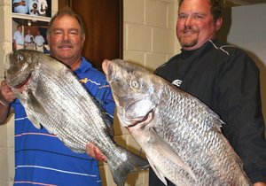 So moet visse mos lyk